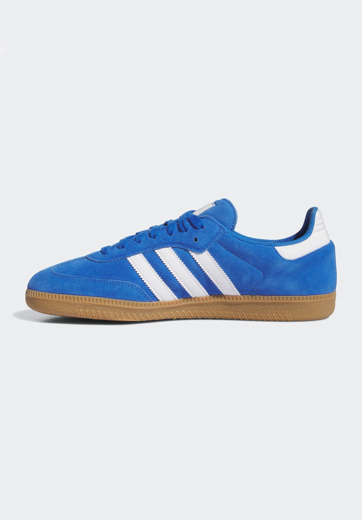 Samba ADV bluebird-white-gold Rueckenansicht