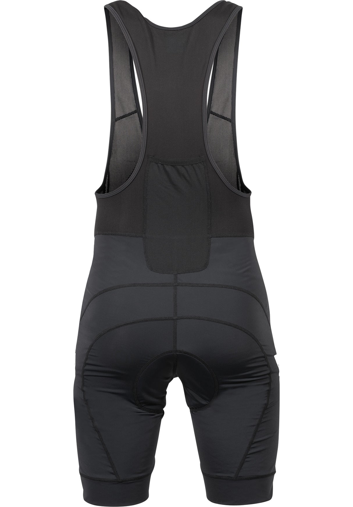 Bib Shorts black Rückenansicht